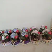 گل‌های کریستالی|گل مصنوعی|مشهد, دانشجو|دیوار