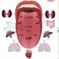 خانم های باارائه با گوشی در منزل کسب درآمد کن