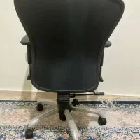 صندلی|صندلی و نیمکت|بندرعباس, |دیوار