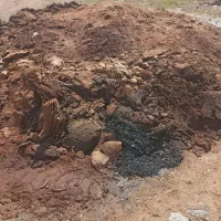 فروش دو کمپرسی کود حیوانی  سرویسی ۸ تومان