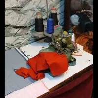 سردوز پروانه ای یاماتو ژاپن