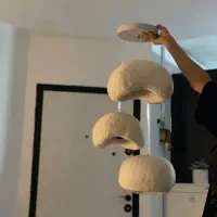 لوستر راگبل پاپیه ماشه