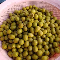 زیتون کنسروی امساله طارم(اعلاء)