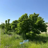 ۹۷۰متر باغ با اتاق و درختان میوه/شهرک پردیس ماریان