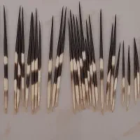 تیغ خارپشت اصل