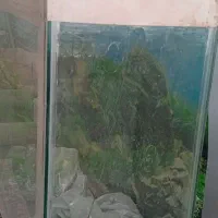 آکواریوم
