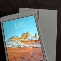 ipd mini4