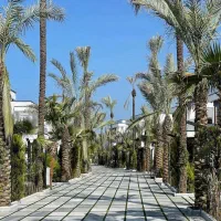دوبلکس استخردار/خوش ساخت استخردار/نوشهر|فروش خانه و ویلا|تهران, یوسف‌آباد|دیوار