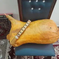 دستگاه نی انبان سالم