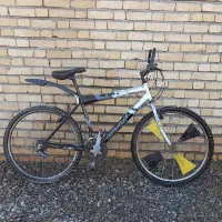 دوچرخه ۲۶|دوچرخه، اسکیت، اسکوتر|الشتر, |دیوار