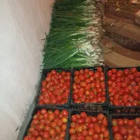 گوجه و پیاز چه محلی را مهرمز خوش مزه