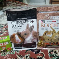 خرگوش|موش و خرگوش|تبریز, |دیوار