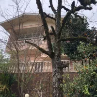 ویلادوبلکس جاده ماسوله در بام سبز ماکلوان|اجارهٔ کوتاهمدت ویلا و باغ|فومن, |دیوار