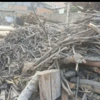 خریدار چوب باغی نقد نقد