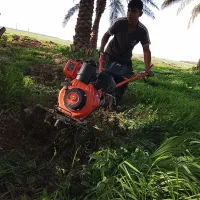 کار تیلر پاکنی با غبانی پاکنی