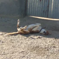 سگون م برون