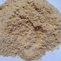 دان بلدرچین|لوازم جانبی حیوانات|رشت, جماران|دیوار