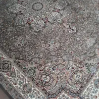 فروش فرش|فرش|قزوین, |دیوار