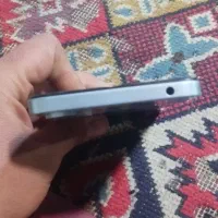 شیامی|موبایل|کرمانشاه, |دیوار