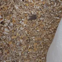 خوراک دام وطیور.و..|لوازم جانبی حیوانات|سیرجان, |دیوار