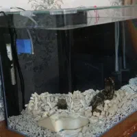 آکواریوم اکواریوم ۳بعدی شیک