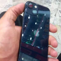 اپل ۱۳ نرمال آیفون