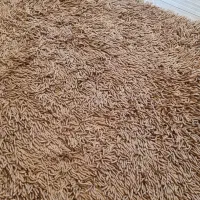 فرش/گلیم مدرن|فرش|تهران, بهار|دیوار
