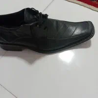 کفش چرمی|کیف، کفش، کمربند|همدان, |دیوار