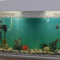 آکواریوم