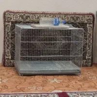 قفس پرنده