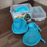 ظرف مسافرتی