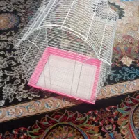 قفس نو تمیز
