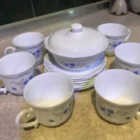 سرویس چایخوری آرکوپال