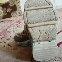 کفش اسپرت