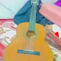 فروش گیتار با قیمت مناسب مشتری واقعی فقط تماس