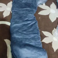 پتو|رختخواب، بالش، پتو|ایذه, |دیوار