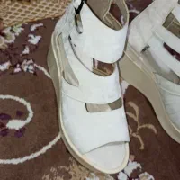 کفش قاب بلند مجلسی|کیف، کفش، کمربند|خرمآباد, |دیوار