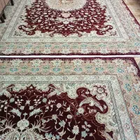 دوتخته فرش 9متری|فرش|رشت, لاکان|دیوار