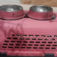 قفس گربه سگ