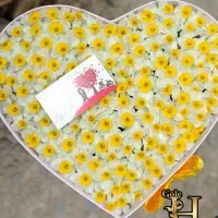 روز مادر توزیع گل نرگس و رز مناسب