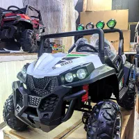 ماشین شارژی و موتور شارژی/باگی-۲۴ولت/غولپیکر