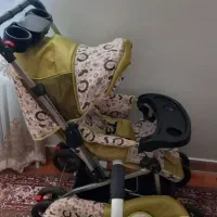 ست کالسکه و کریر و روروئک پویا