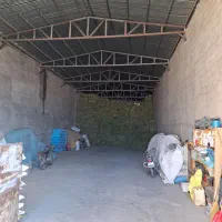 یونجه درجه یک|خدمات باغبانی و درختکاری|شازند, |دیوار