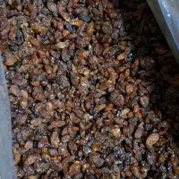 کشمش آفتابی آبگیری شیرین ده کیلویی