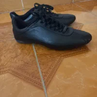 کتونی فوتبالی|کیف، کفش، کمربند|خشکبیجار, |دیوار