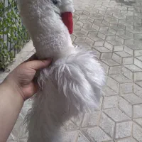 جا دستمال کاغذی