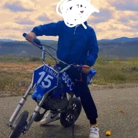 موتور مینی کراس|موتورسیکلت|سلماس, |دیوار