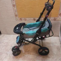 کالسکه دلیجان سالم