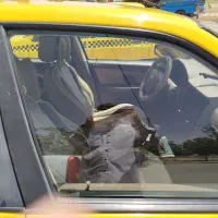 تاکسی پراید