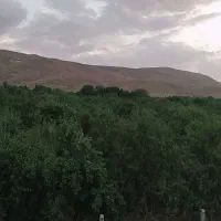 خرید و فروش خانه اپارتمان باغ گلخانه....